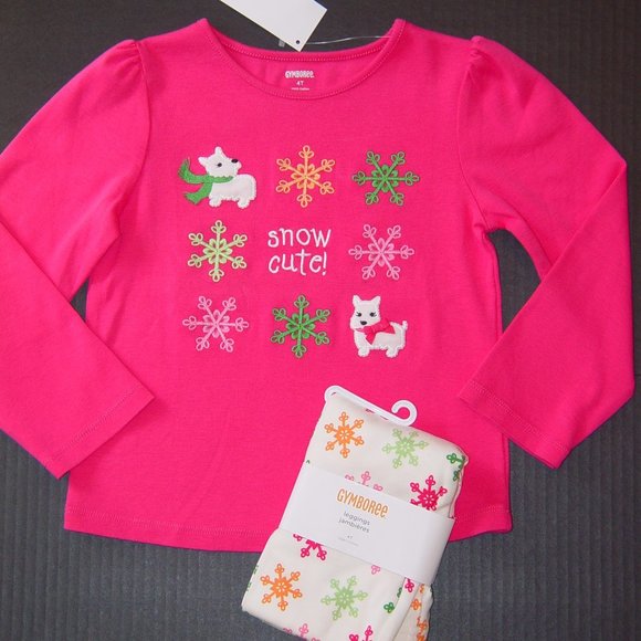 NWT Gymboree 24M 2T or 4T pink TOP snowflake Leggings set Snow Cute puppy - Picture 1 of 5